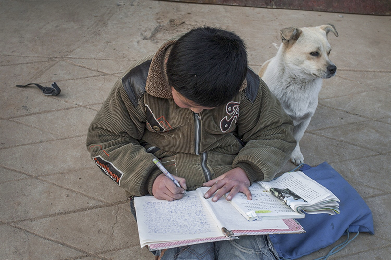 2009年2月27日，刘春莹坐在刘爽家门口做作业，家里的小狗在一旁相随，不知道哪个小伙伴的手表扔在一旁。作者：刘磊