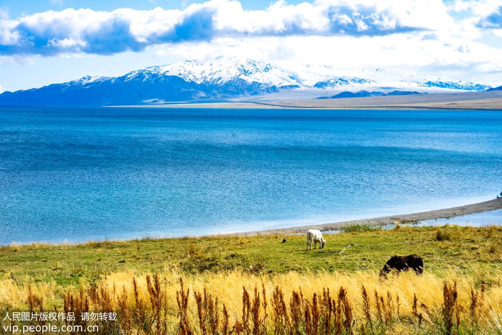 2019年9月11日拍摄的新疆赛里木湖风光。