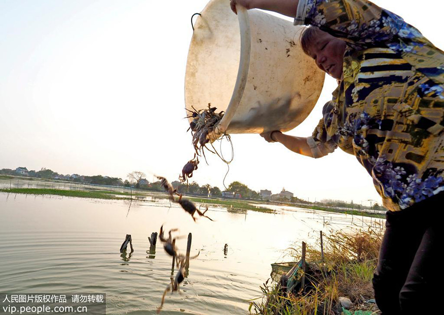 王小平积极帮扶同村群众，开展传授养殖技术。