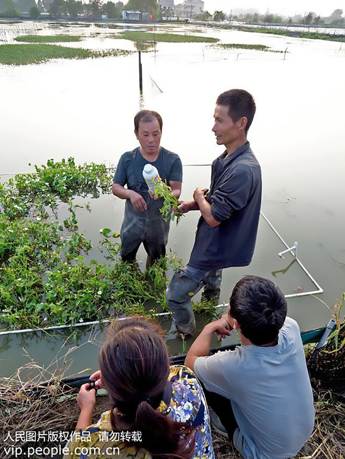 王小平积极帮扶同村群众，开展传授养殖技术。