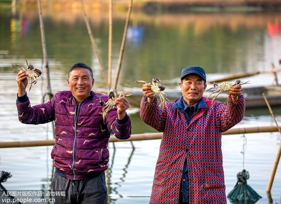 初冬时节，安徽省宣城市朱桥乡何村的两位村民，拿着自己养殖的螃蟹，脸上洋溢着收获的喜悦。